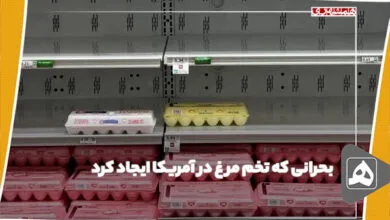 ارتباط فردا