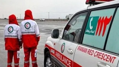 ارتباط فردا