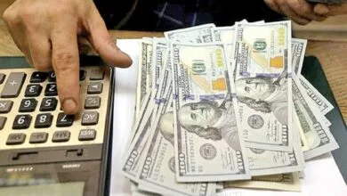 ارتباط فردا