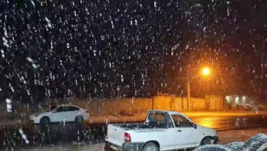 ارتباط فردا