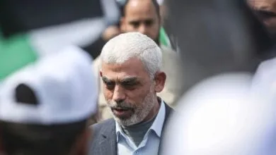 ارتباط فردا