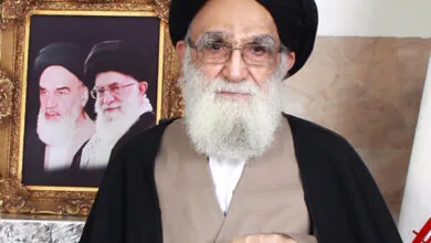 دعوت آیت‌الله محمودی گلپایگانی از مردم برای حضور در راهپیمایی یوم‌الله ۲۲ بهمن
