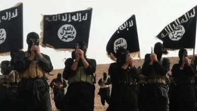 ارتباط فردا