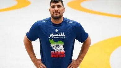 ارتباط فردا