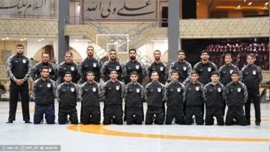 ارتباط فردا