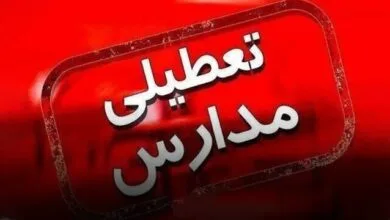ارتباط فردا