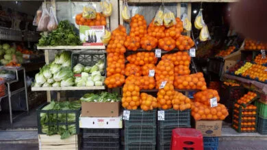 ارتباط فردا