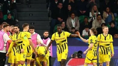 ارتباط فردا