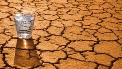 تنش آبی و کمبود صنایع تبدیلی چالش‌های اساسی گلستان
