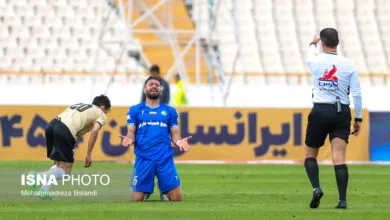ارتباط فردا