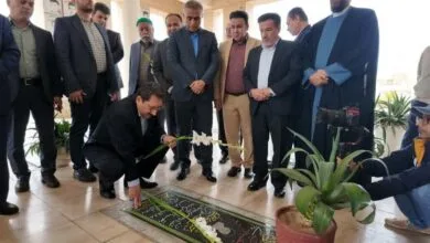 ارتباط فردا