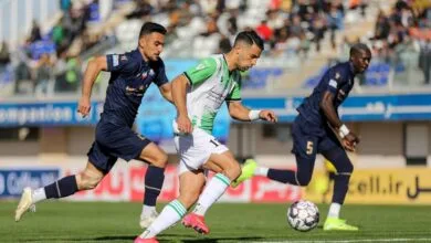 ارتباط فردا