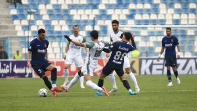 ارتباط فردا