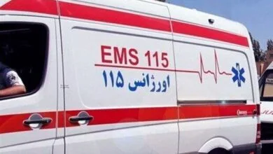 ارتباط فردا