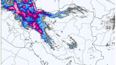 ارتباط فردا