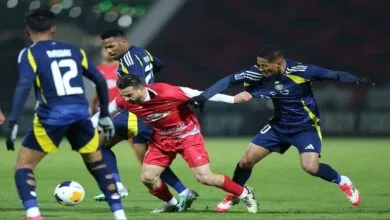 ارتباط فردا