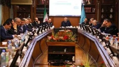 معارفه ناظرین اجرایی قانون برنامه هفتم وزارت تعاون، کار و رفاه اجتماعی و سازمان‌های تابعه/ میدری: بهره‌مندی از ظرفیت کارشناسان برای اجرای حداکثری وظای