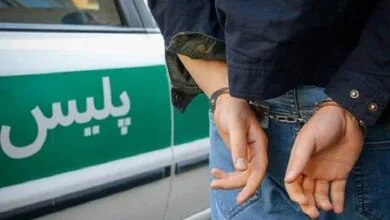 ارتباط فردا