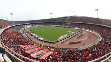 ارتباط فردا