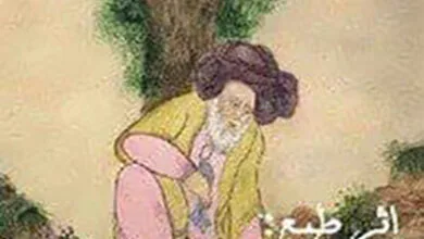 ارتباط فردا