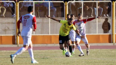 ارتباط فردا
