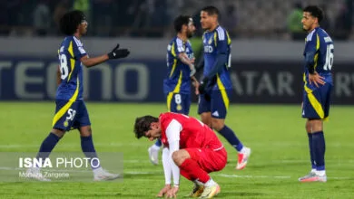 ارتباط فردا