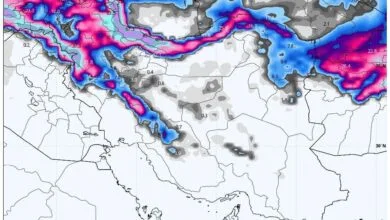 ارتباط فردا