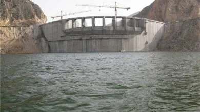 ارتباط فردا