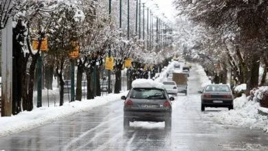 ارتباط فردا