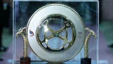 ارتباط فردا