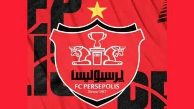 ارتباط فردا