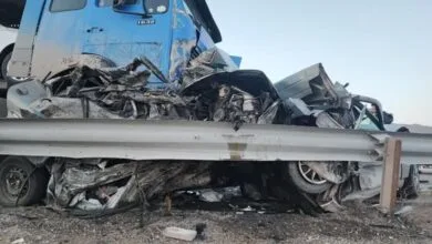 ارتباط فردا