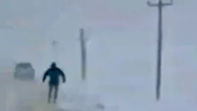 ارتباط فردا