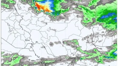 ارتباط فردا