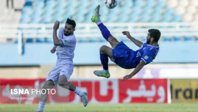ارتباط فردا