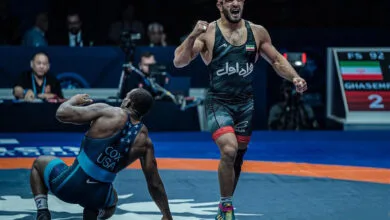 ارتباط فردا
