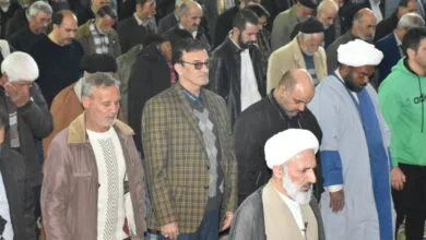 ارتباط فردا