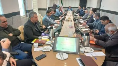 ارتباط فردا