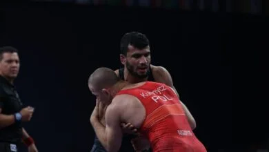 ارتباط فردا