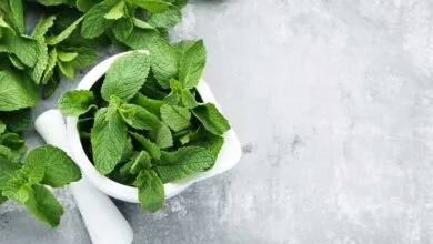 با این دمنوش نفخ شکم نابود و تنفستان خوشبو می‌شود