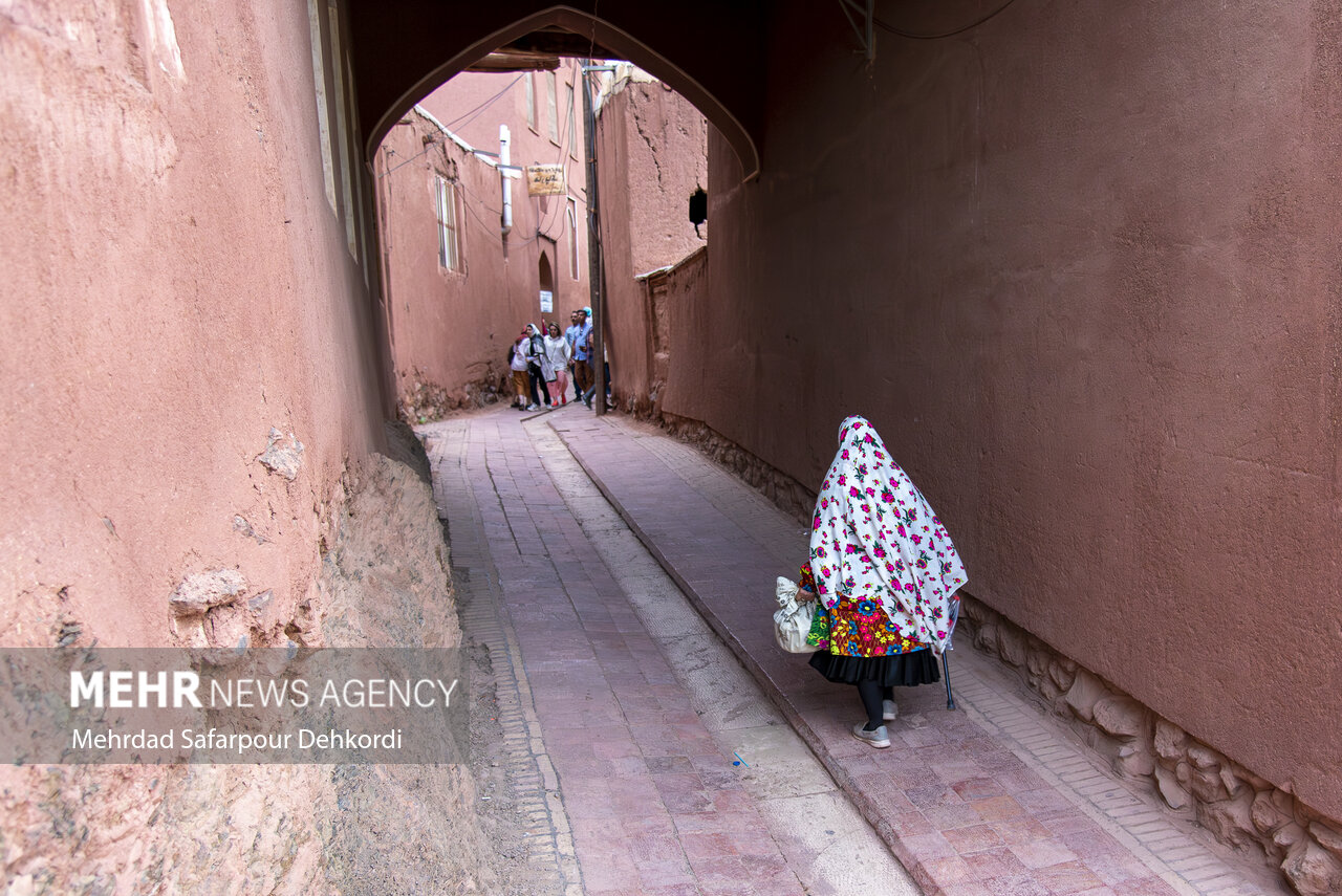 راه پر پیچ و خم ثبت جهانی «ابیانه»