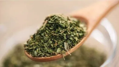 ارتباط فردا