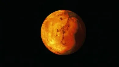ارتباط فردا