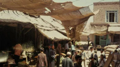 ارتباط فردا