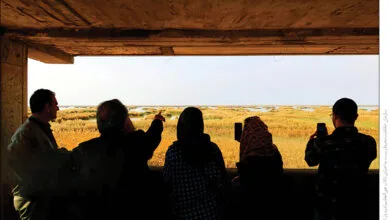 ارتباط فردا