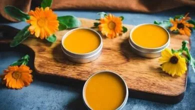 گل همیشه بهار؛ داروخانه دنیای گیاهان!