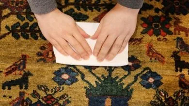 ارتباط فردا