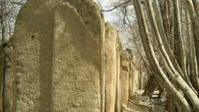 کوچه‌ای با ۱۲ ایوان در تهران
