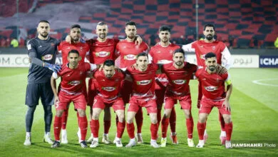 ارتباط فردا