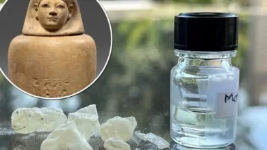 اسرار رایحه مومیایی‌های مصر | عطری خوشایند از دل تاریخ!